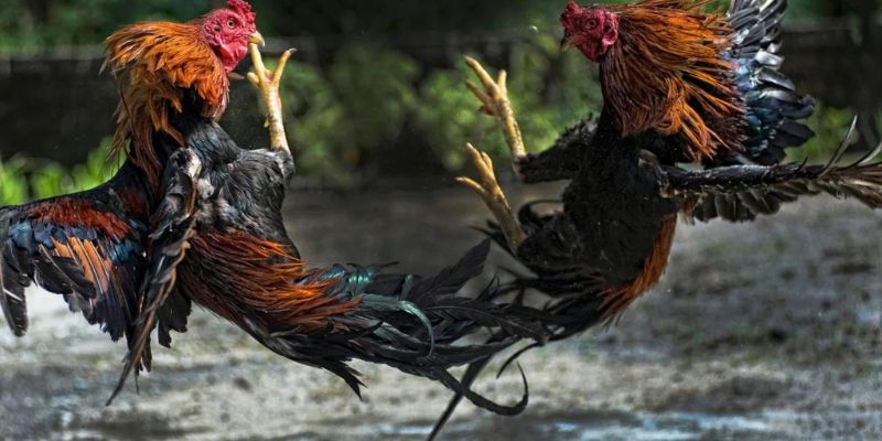 Hệ thống dùng nhiều công nghệ đặc biệt để bảo mật dữ liệu